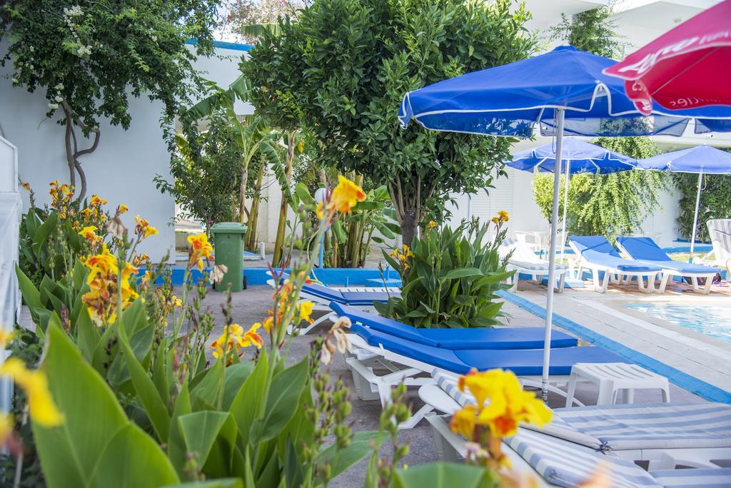 Yiannis Yard &