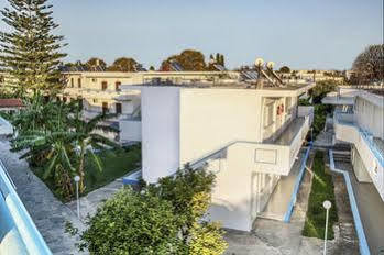 Yiannis Yard & Cos