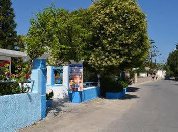 Yiannis Yard & 3* Cos