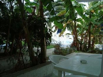 Yiannis Yard & 3*